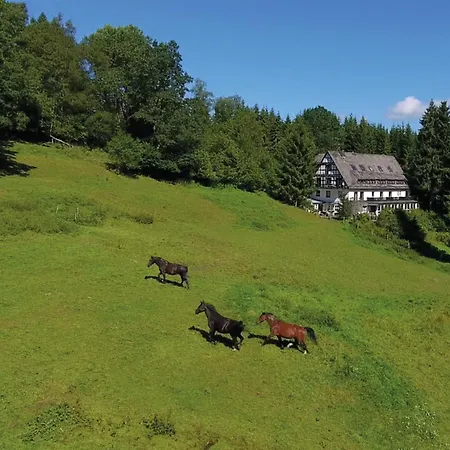 Feriehus Uebernachten Sie In Der Naehe Des Winterbergskilifts