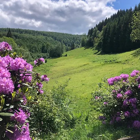 Uebernachten Sie In Der Naehe Des Winterbergskilifts * Winterberg