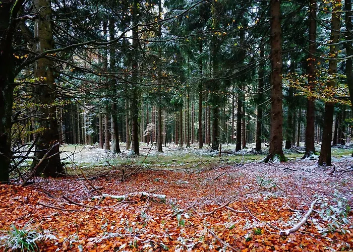 Uebernachten Sie In Der Naehe Des Winterbergskilifts Winterberg