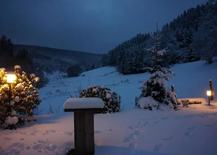 Holiday home Uebernachten Sie In Der Naehe Des Winterbergskilifts Winterberg